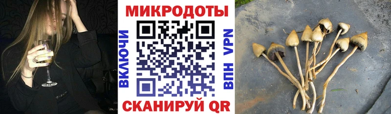 нарко площадка Telegram  Лесосибирск  Псилоцибиновые грибы Psilocybine cubensis  купить закладку  ОМГ ОМГ как войти 